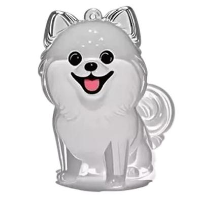 Transparent Animal Hair Storage Capsule Keychain Capsule Toy Storage Box Pendant