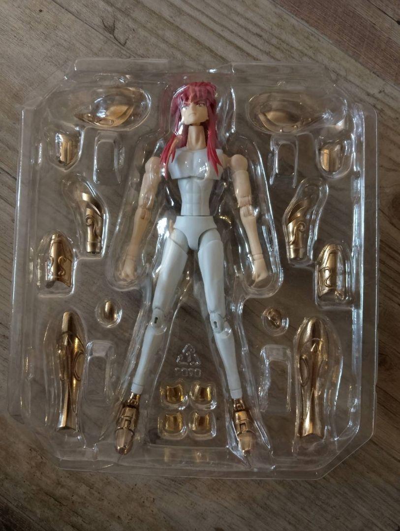 

[USED] Saint Seiya Cloth Myth EX Aquarius Camus 2019 oce Rare
