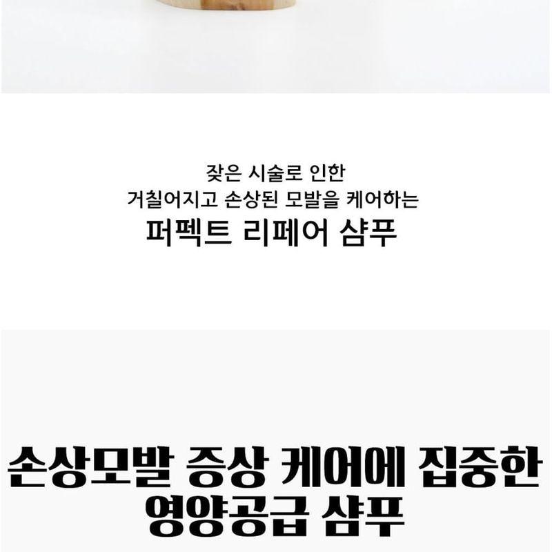 LEBELAGE - Perfect Repair Shampoo