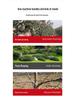 Cordless Electric Pruning Shears - Rechargeable Lithium Battery for Branches and Fruit Trees