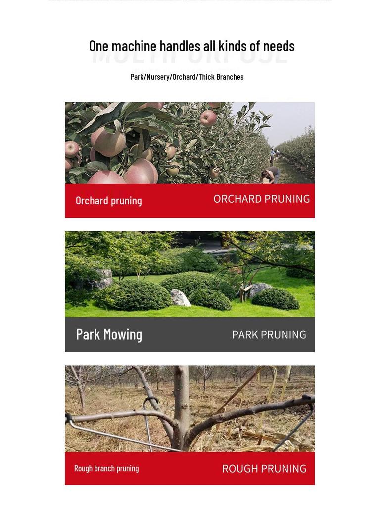 Cordless Electric Pruning Shears - Rechargeable Lithium Battery for Branches and Fruit Trees