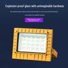 Lukun High-Temperature LED Outdoor Explosion-Proof Floodlight