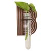 Home Ornaments Hydroponic Planter Shelf Wooden Wall Decoration Wall Mounted Planter  Plant Lover