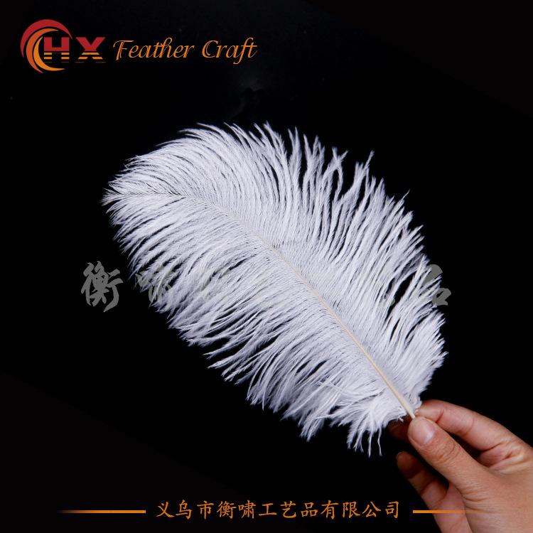 

24 Colors 15-20Cm Ostrich Feather, Hotel Wedding Window Home Decoration Ostrich Feather