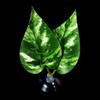 Betta Fish Leaf Bed Simulation Leaf Hammock Bed Rest Habitats Fishtanks Spawning Grounds Suction Cup Leaf Resting Bed