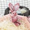 1/3/5PCS 20cm Velvet Wishing Bunny Plush Toy Soft Stuffed Rabbit Hanging Doll Gift for New Year Birthday Valentines Day All Ages