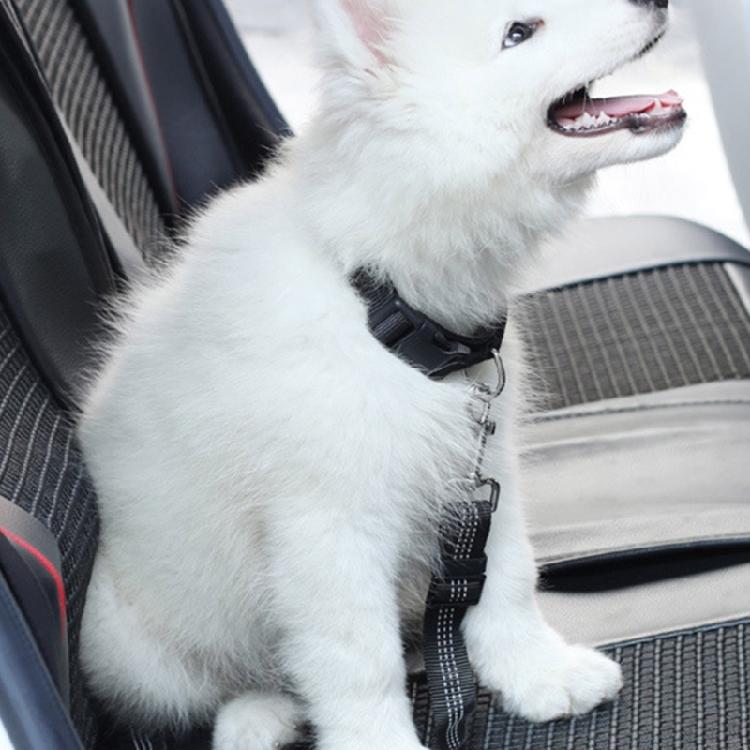 Pet Dog Car Seat Belt Clip Bungee Lead Vehicle Travel Safety Harness Adjustable