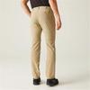 Long Sports Trousers Regatta Highton Z/O Beige Men