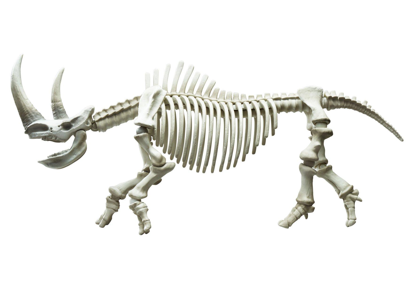 Re-Ment Pose Skeleton Mammals Rhinoceros