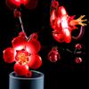Flower Plum Blossom Led Light Kit For 10369 The Creator Botanical Collection Not Include Building Block (Only Lighting Set)