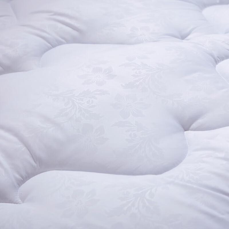 FUANNA Warm Winter Fiber Comforter