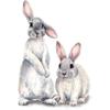 Wall Stickers Removable Vinyl Sticker Cute Animal 3D Bunnies Rabbits Decorative Wall Stickers Restaurant Shop for Living Room, Bedroom and Room Wall