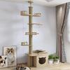 Multi-Level Cat Tree & Scratching Post