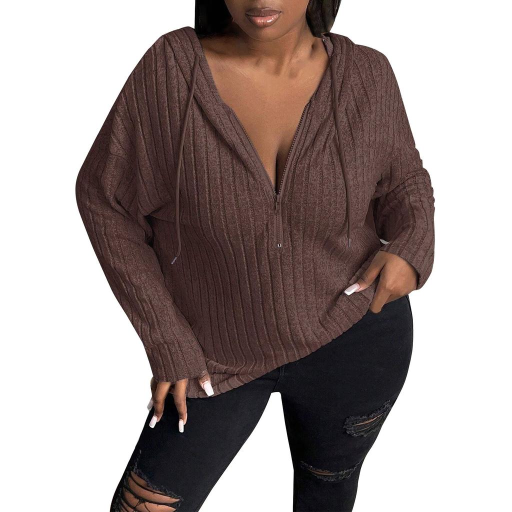 Ladies Fashion Winter New Solid Color Long Sleeve Sweatshirt Women's Hooded Zipper Top