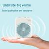Deli LT900 5W Portable Voice Amplifier CN plug (adapter included)