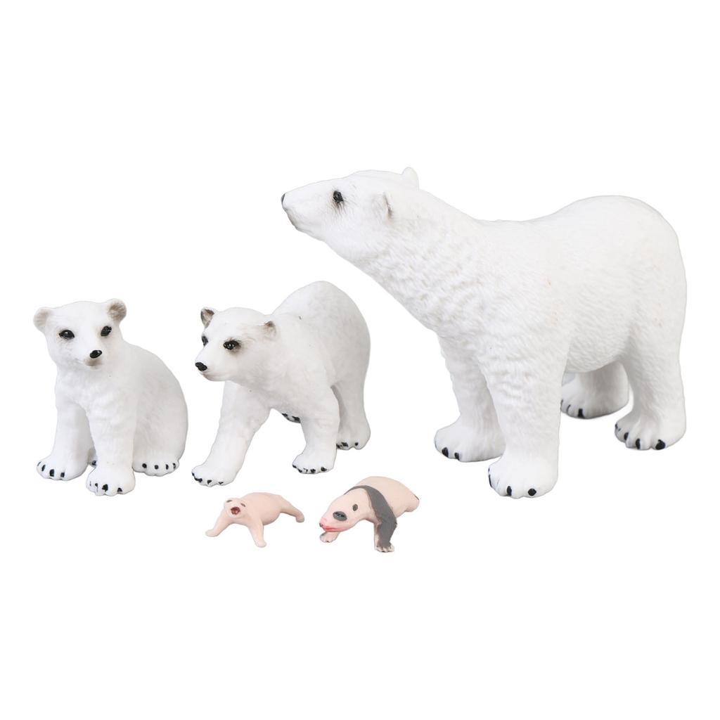 5pcs Simulation Animal Model Simulation Polar Bear Growth Ornament Children Cognitive Growth Cycle A