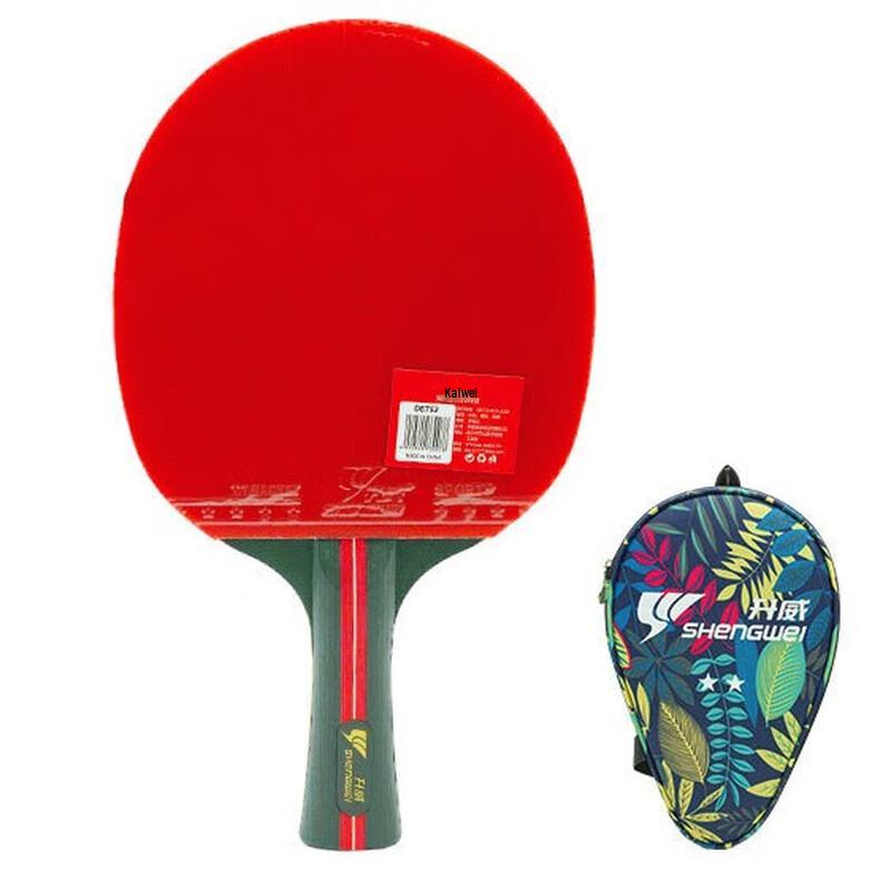 Dragon Glance 2-Star Table Tennis Racket
