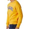 New Balance Sweatshirts Men's Yellow Crew Neck Moderate Regular MT03515-ASE