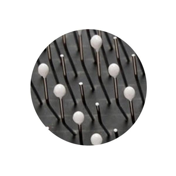 Babion 002R Rosewood Pinslicker Pet Brush, Korean Pet Shampoo