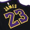 Nike NBA LeBron James No. 23 Lakers Fan Vest, 2023-24 Season Men Tops Black DX8506-012