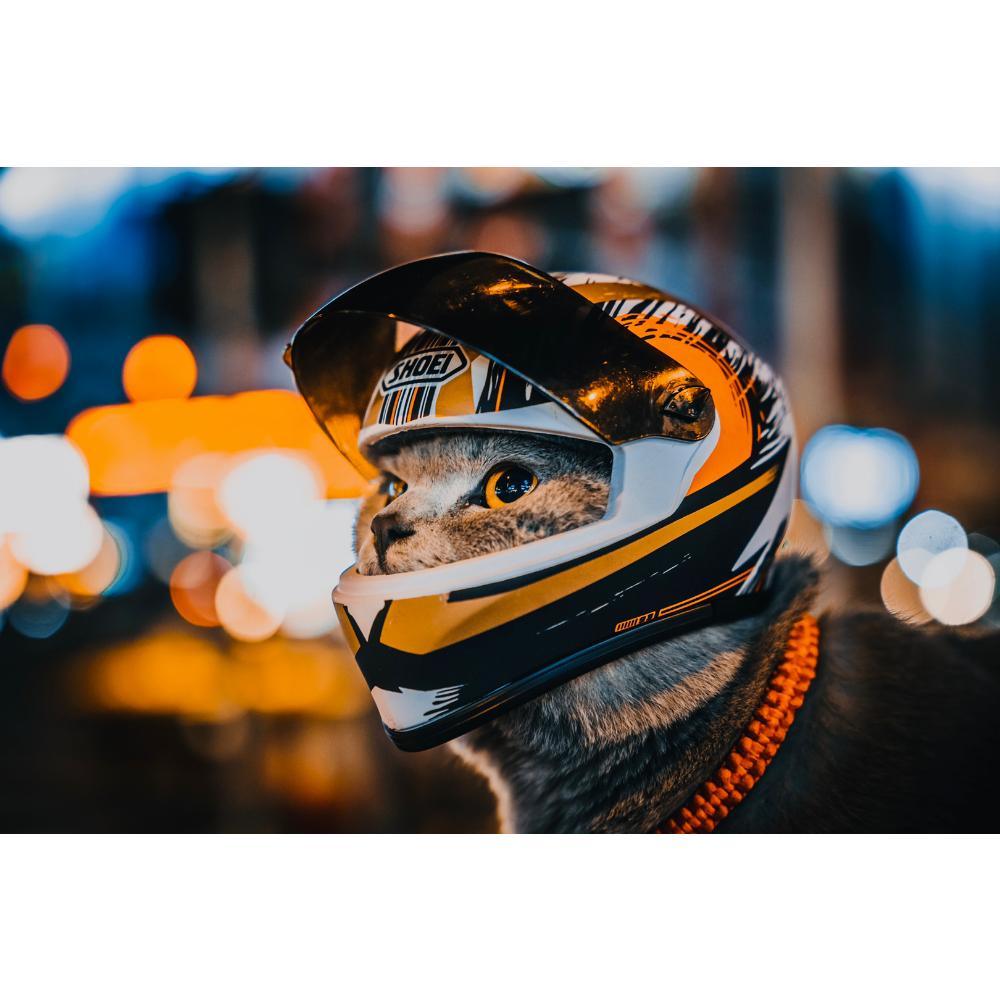 Cheap Pet Helmets,Cat Helmet,Dog HelmetOutdoor Mini Head Protecting