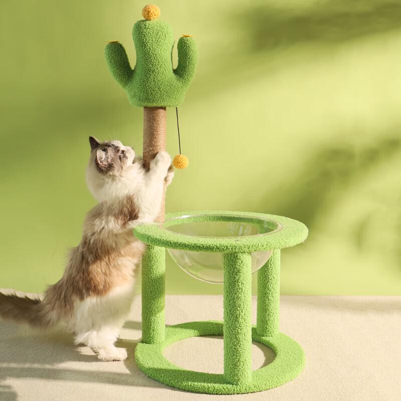 Cactus Cat Tree & Scratcher with Space Capsule