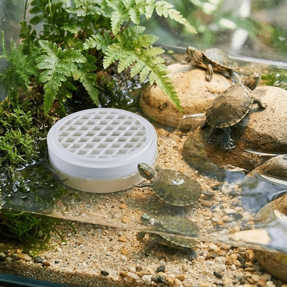 Efficient Turtle Poop Collector Basking Platform Turtle Poop Catcher Feces Collector Turtle Tank