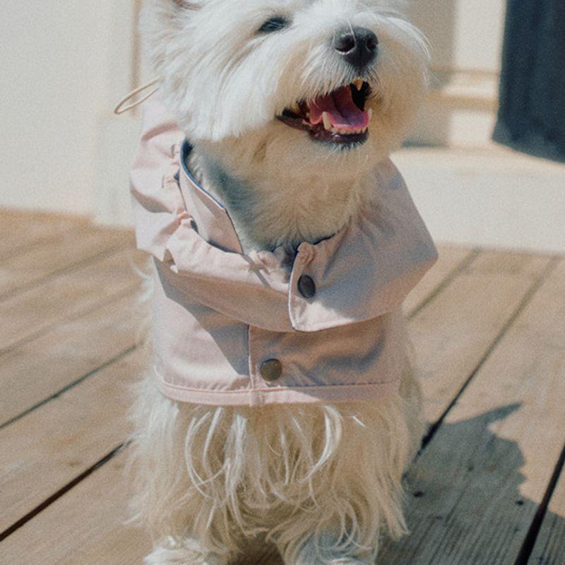 CROOKTHECHIHUAHUA Tailoring Waterproof Raincoat (2color)