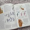 [USED] The Art of Calligraphy - David Harris Books