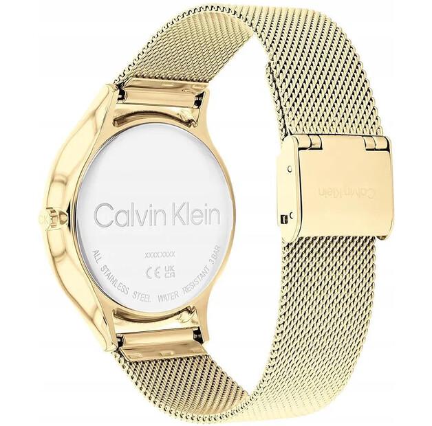 Часы Calvin Klein TIMELESS MESH 25200003
