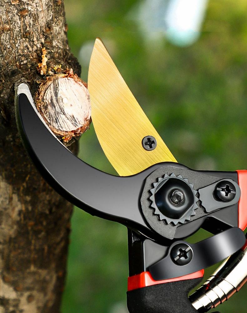 Labor-Saving Gardening Pruning Trees Cut Pruning Shears SK-5 Blade Scissors for Bonsai/Fruit Tree/Flowers/Branches Garden Pruner