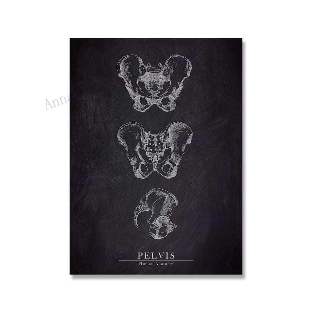 

Мышцы ног кость сердце Анатомия Скелет настенная живопись на холсте плакаты на скандинавскую тему и принты настенные панно для доктора офисный декор 21x30cm No Framed