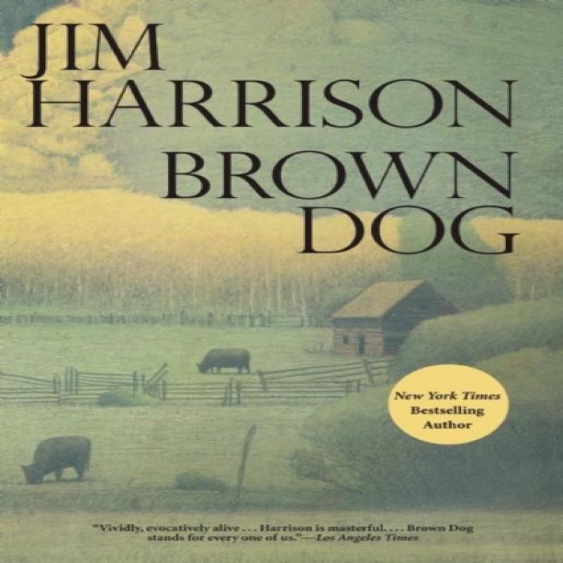 Brown Dog by Jim Harrison Paperback Book 9780802122865
