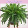 Nephrolepis Cordifolia Artificial Plant Wall Decor With Lush Foliage For Wedding And Home Decoration