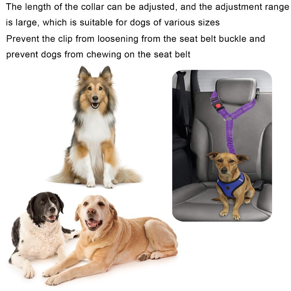 Elastic Bungee Reflective Dog Tether Metal Snap Hook Bungee Dog Lead Vehicle Riding фиолетовый