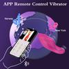 APP Control Clitoris Stimulator for Women Panties Vibrator Clit Nipples Female Masturbator Interaction Sex Toy for Couples 18+