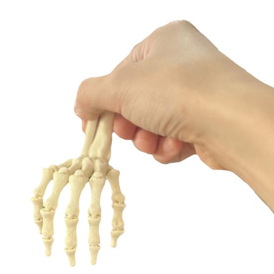 Halloween Skjeletthånd 3D-printet Plast Menneskehånd Beinmodell Skumle Halloween Triks Rekvisitter for Borddekking Festartikler Spøkelseshus Hjemmedekor