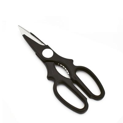 2CR13 Edelstahl Haushalt PP Griff Lebensmittel Gemüse Schneiden Küche Schere Scharfe Schere mit Nussknacker