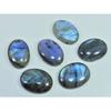 17X24MM Natural Multi Labradorite Oval Cabochon Loose Gemstone 6Pcs Lot C-1808