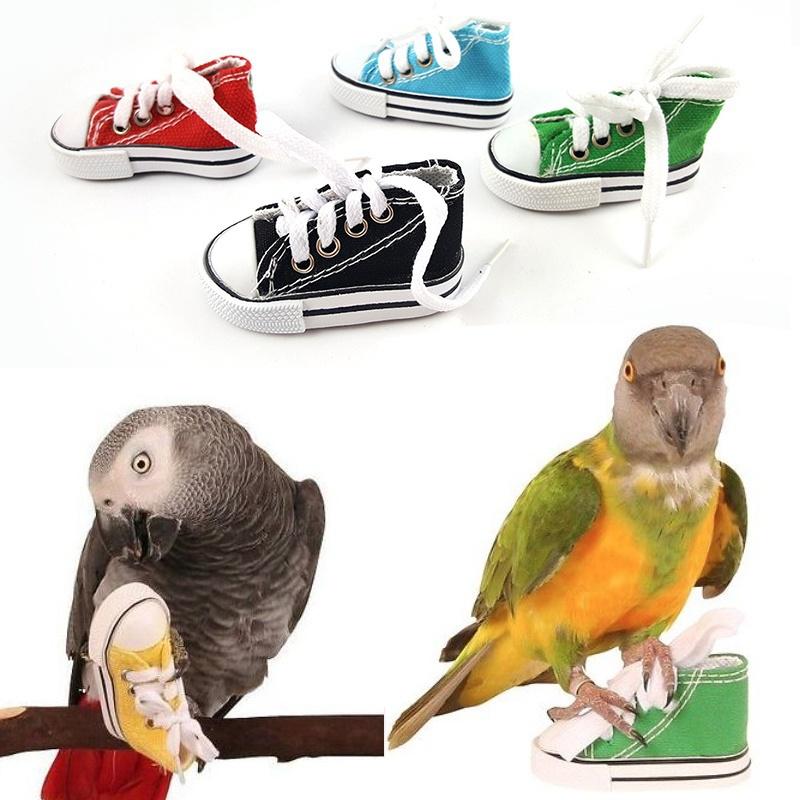 Creativity Cartoon Mini Canvas Shoes Birds Cute Parrot Craft Toys LS