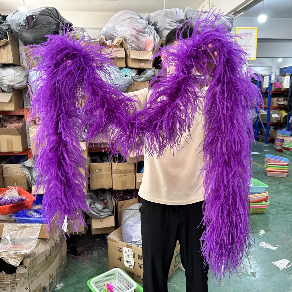 DIY 1/2/3/6/10 Ply Natural White Ostrich Feathers Boa Trim for Craft Wedding Party Festival Clothing Decoration Plumes Shawl 2M