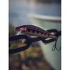 Rapala Countdown Elite CDE35