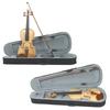 Astonvilla 4/4 Violin Spruce Top Maple Craft Tiger Stripe Ebony Parts Handcrafted 4/4 Violin with