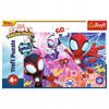 17410 "60" - Avventura Eroica/ Spidey e i suoi Amici Straordinari