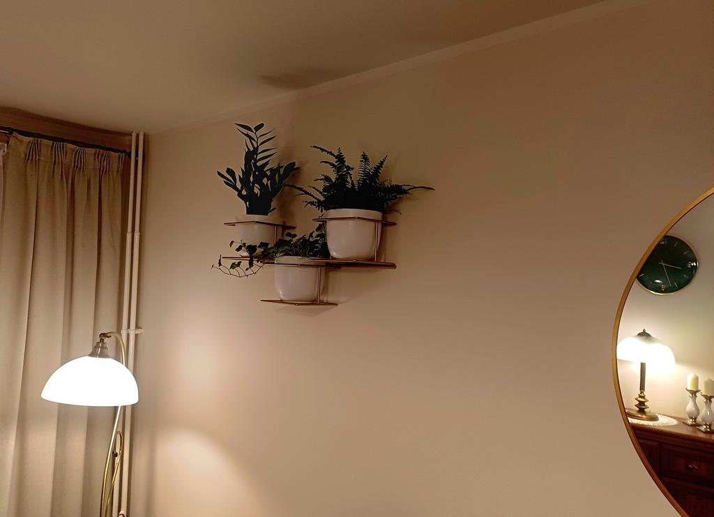 Jungle 5 Wall Flower Stand Metal Horizontal Holder for 3 Pots Gold Modern Flower Hanger