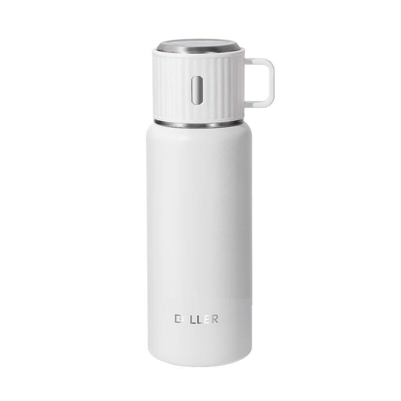 Dilebell 316 Stainless Steel Tea Infuser Bottle