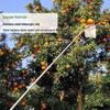 Multifunctional Stainless Steel Fruit Picker for High Altitude and Seasonal Use.