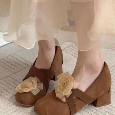 Small Inside Heightened Shallow Single Shoes Women's Spring 2025 New Retro French Temperament Mary Jane Shoes