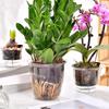 1pcs Transparent Self Watering Plant Pot Double Layer Planter Pot with Reservoir Flowerpot  Office