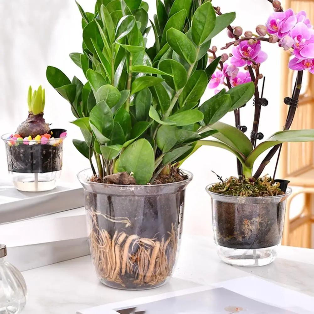 1pcs Transparent Self Watering Plant Pot Double Layer Planter Pot with Reservoir Flowerpot  Office